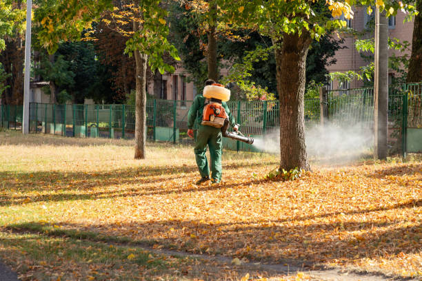 Best Residential Pest Control  in Laupahoehoe, HI